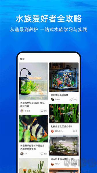 当贝鱼缸