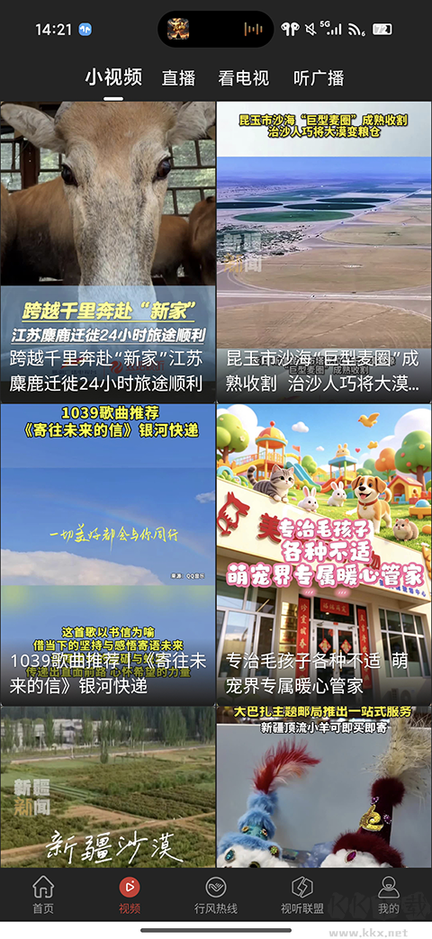 丝路视听app