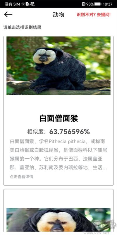 拍照识物