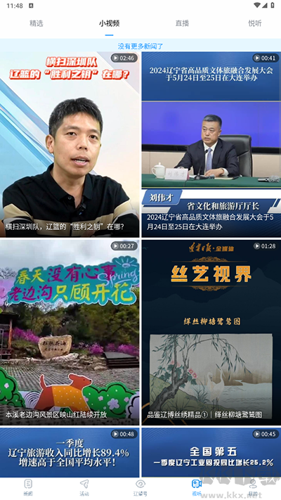 辽望官方正版