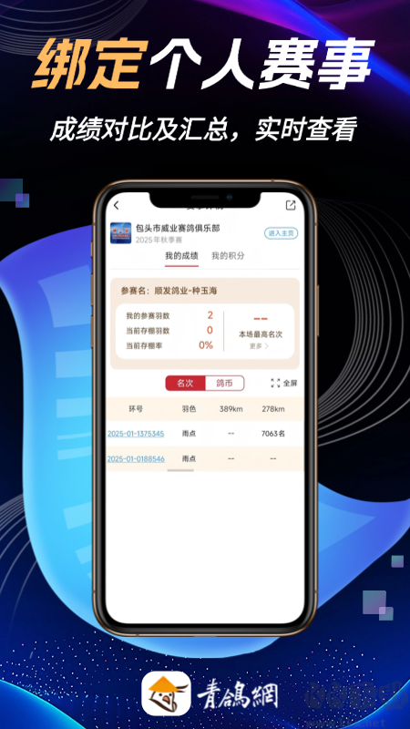 青鸽网