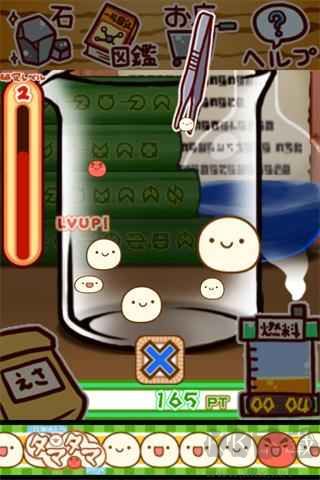 新种发现跳跳研究所