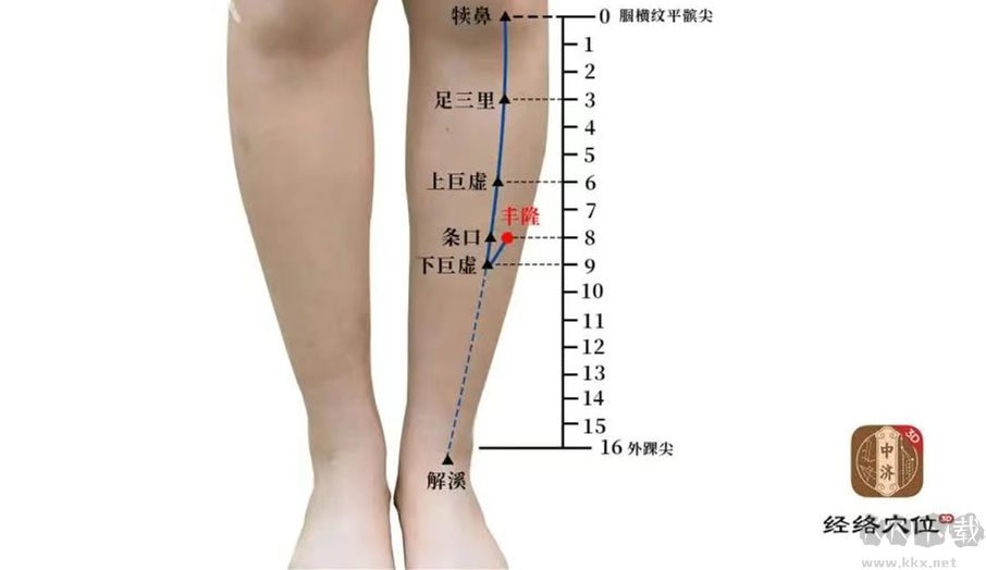 知源经络穴位