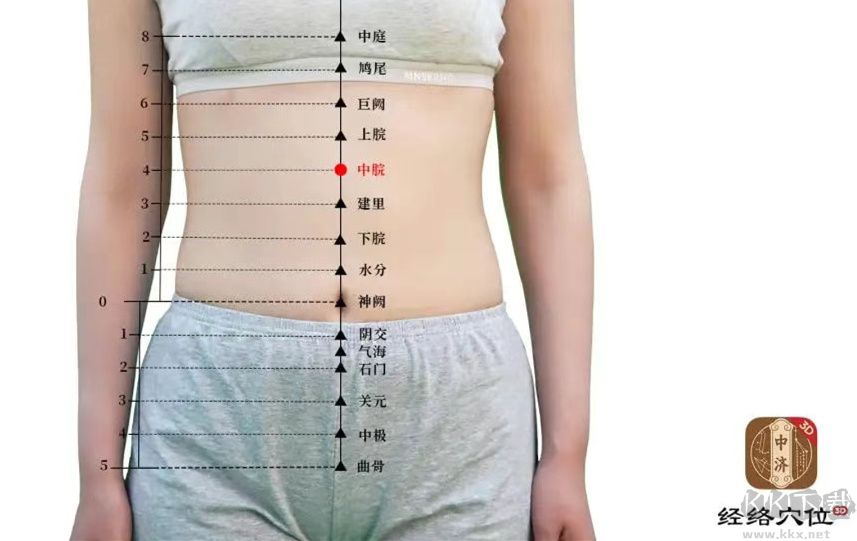知源经络穴位