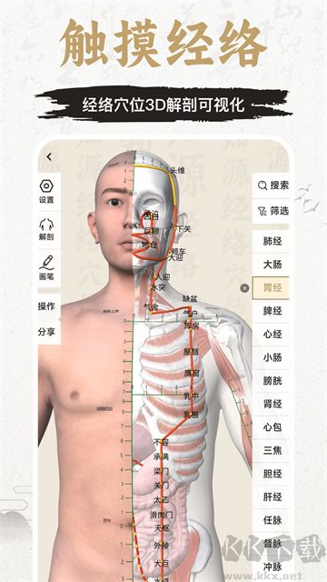 知源经络穴位