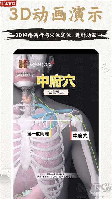 知源经络穴位