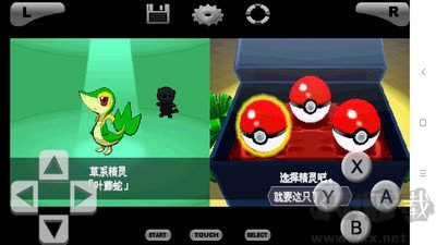 口袋妖怪黑白
