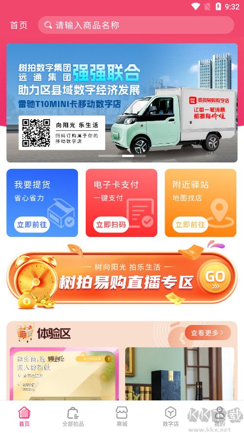 树拍