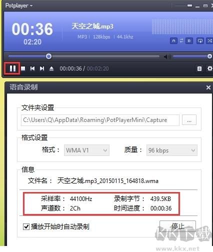 完美解码电脑版