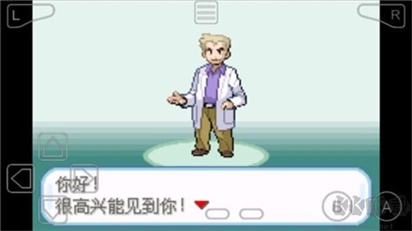 口袋妖怪叶绿386