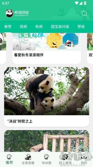 熊猫频道
