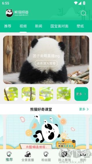 熊猫频道