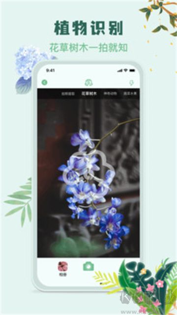识花君植物识别免费版