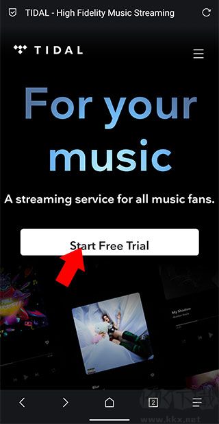 tidal中文版