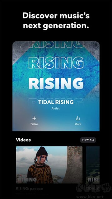 tidal中文版