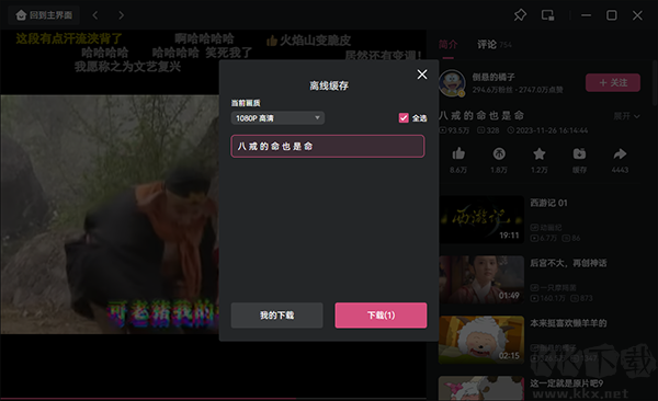 哔哩哔哩电脑版