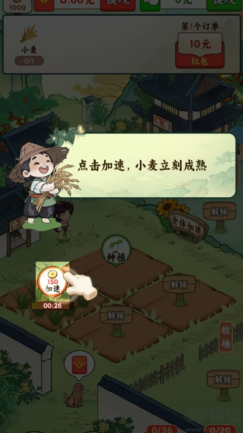 我家菜园子