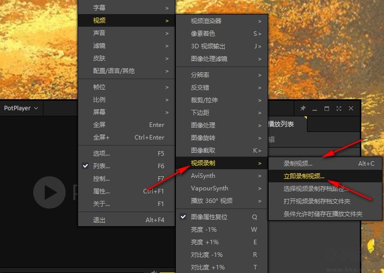 PotPlayer绿色版