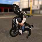 巴西精英赛车中文版v0.89