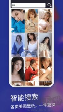 主题app