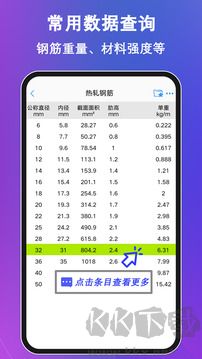 钢筋大师app