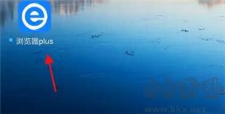 浏览器plus中文版