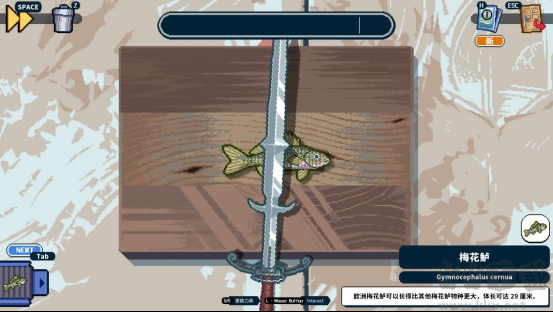深海刮刮乐电脑版