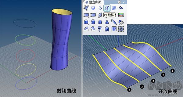 犀牛Rhino8
