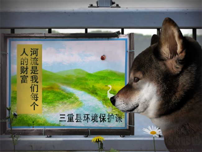 翌日波奇狗的历险记