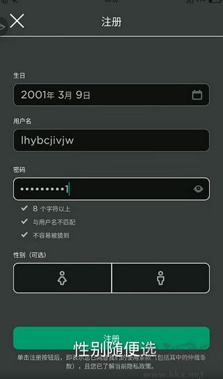 罗布乐思中文版