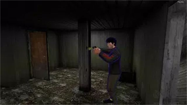 恐怖老奶奶2联机版