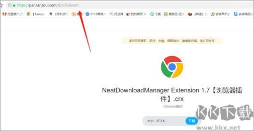 Neat Download Manager