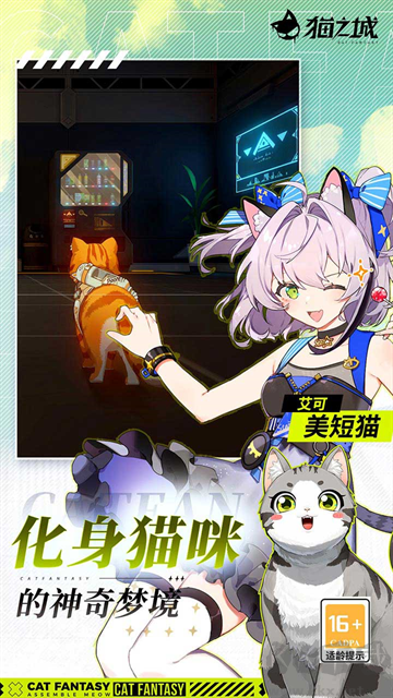 猫之城官方版