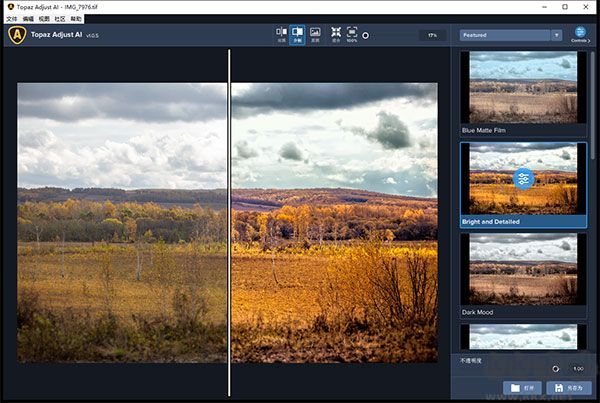 Topaz Adjust AI