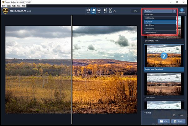 Topaz Adjust AI