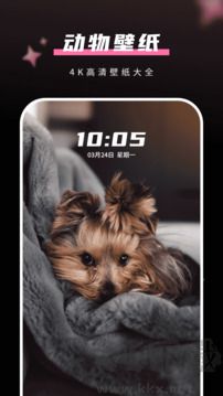 手机壁纸app