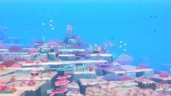 潜水员戴夫免费2026汉化最新版