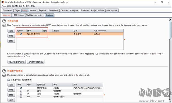 Burp Suite(渗透测试工具)