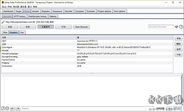 Burp Suite(渗透测试工具)