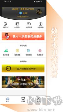 水印王水印编辑软件