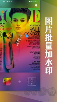水印王水印编辑软件