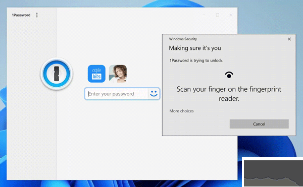 1password（密码安全工具）