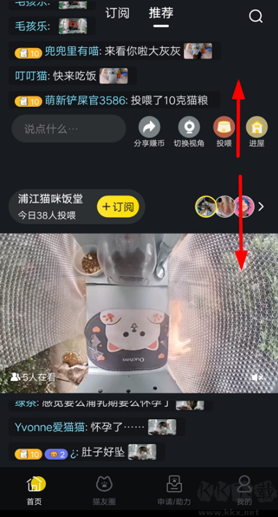 哈啰街猫宠物服务app