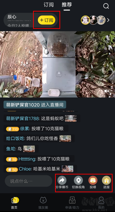 哈啰街猫宠物服务app