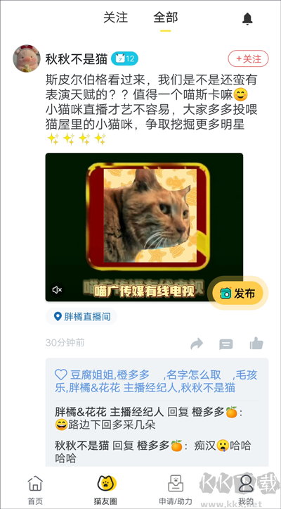哈啰街猫宠物服务app