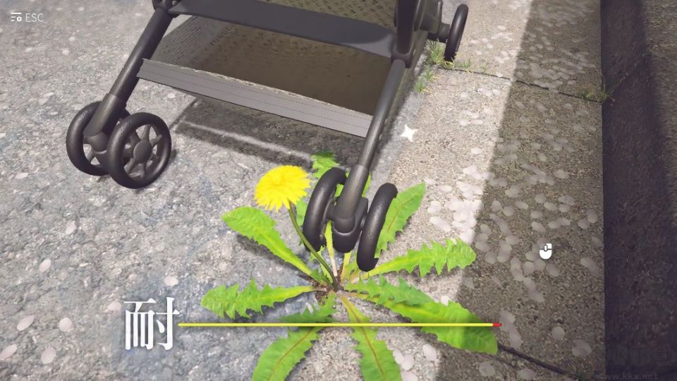 蒲公英不屈官方版