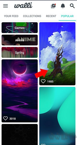 walli壁纸app