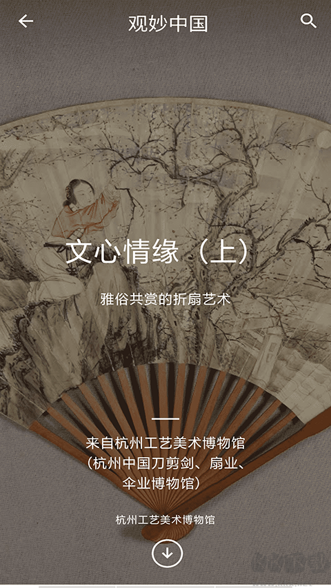 观妙中国软件