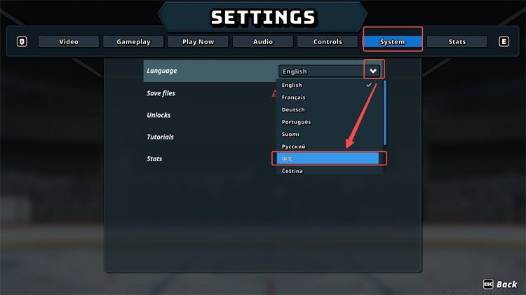 冰球大乱斗